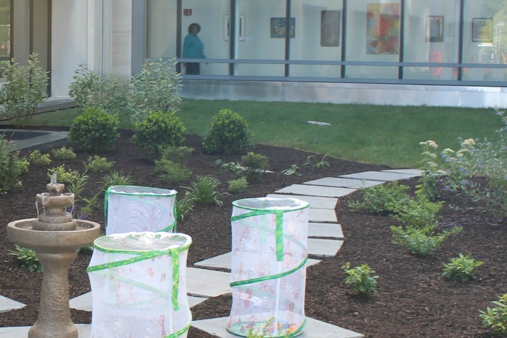 Butterfly Garden at Nemours Hospital