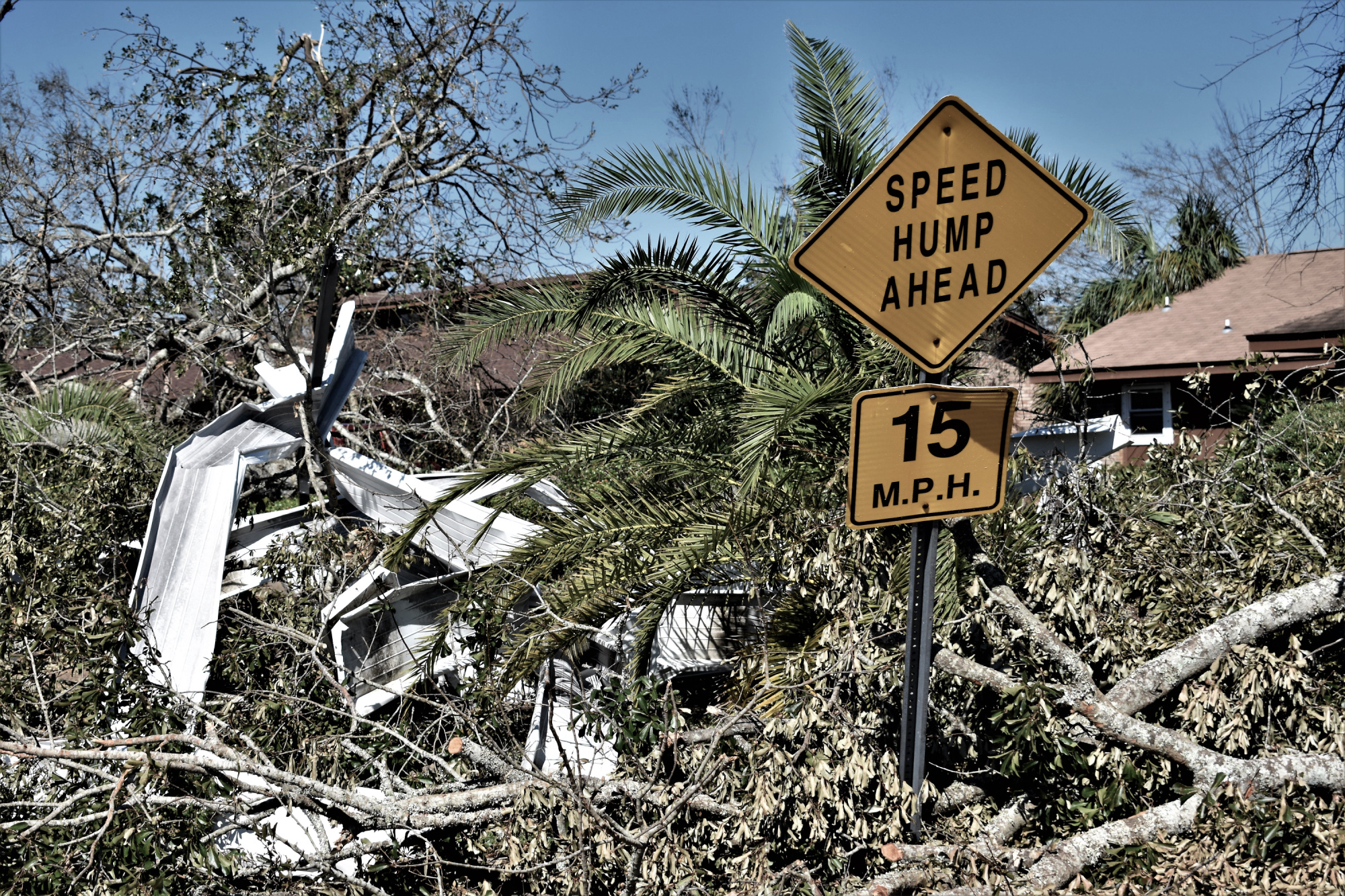 Hurricane damage