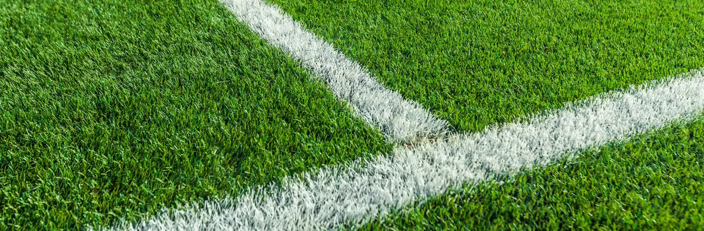 Sports Turf Field