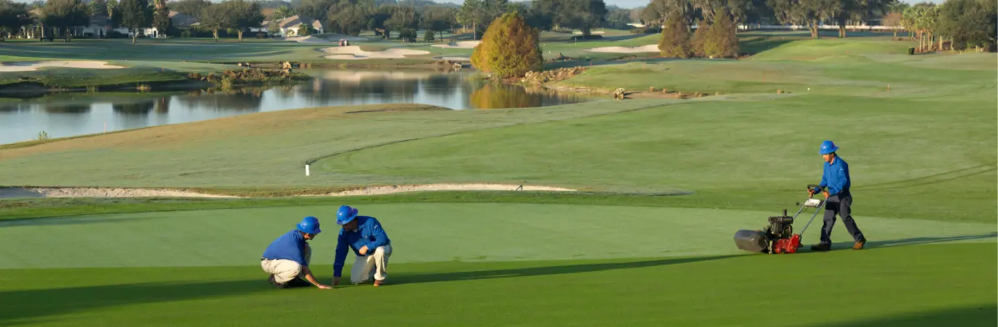 Dig Into Golf