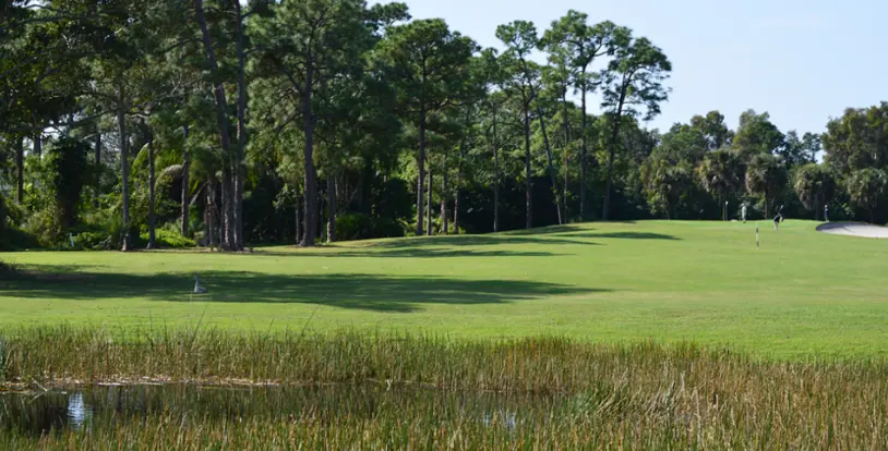 Golf course greens