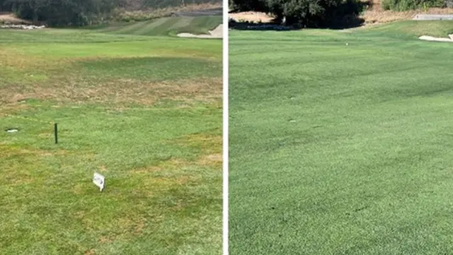 Golf related image
