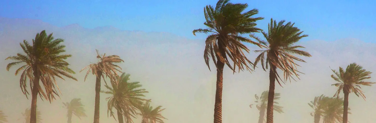 Santa Ana Winds