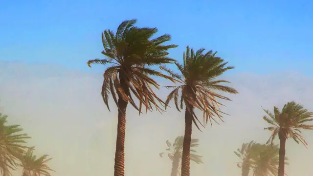 Santa Ana Winds